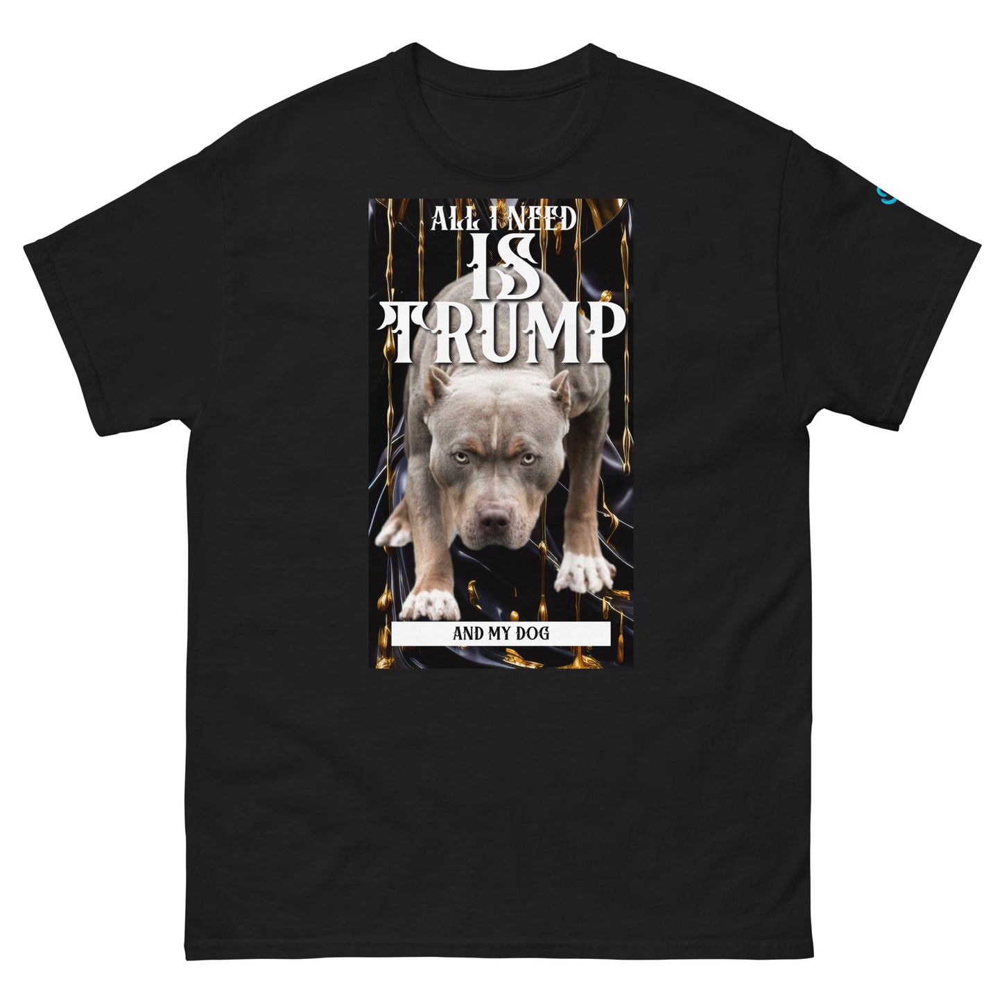 All I need pit Men's classic tee