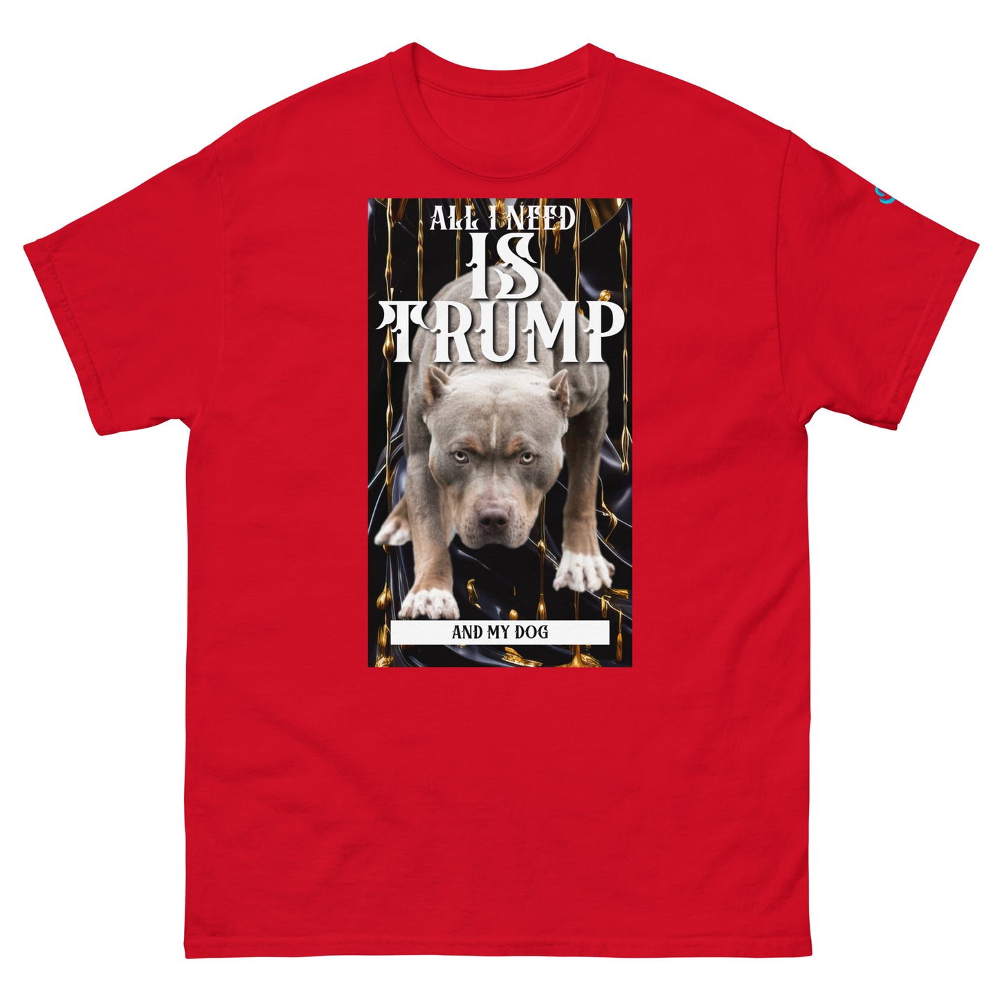 All I need pit Men's classic tee