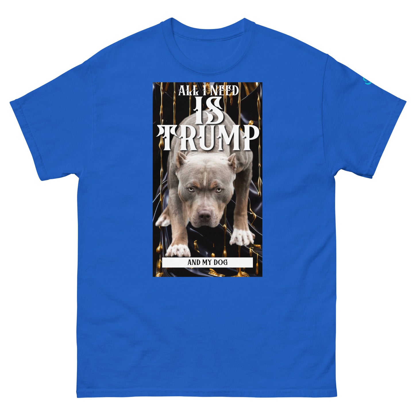 All I need pit Men's classic tee