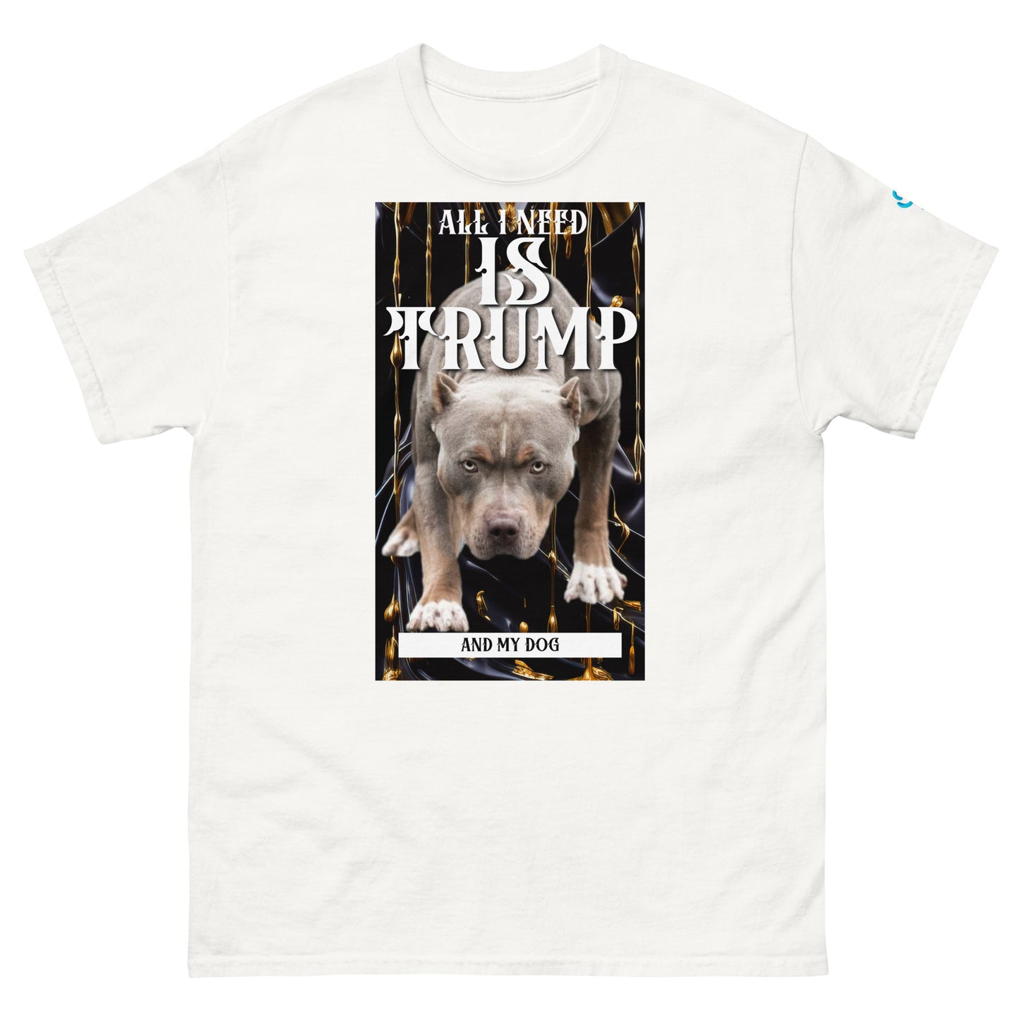 All I need pit Men's classic tee