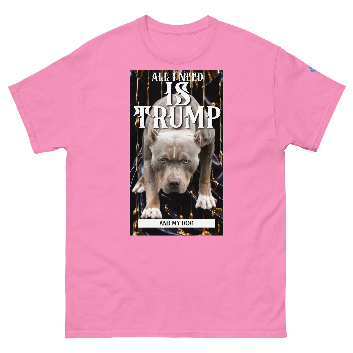 All I need pit Men's classic tee